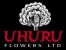 uhuru flowers - flower exchange